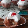 4 Ingredient Cake Mix Mini Cakes