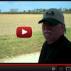Planting Pumpkins How to Grow Pumpkins