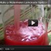 How to Make a Watermelon Lemonade Spritzer