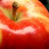 17 Homemade Apple Pie Recipes and More