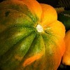 Acorn Squash with Applesauce