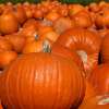 Afghan Fried Pumpkin
