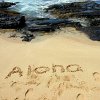 Saucy Aloha Chicken Wings