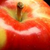 Thanksgiving Apple Salad