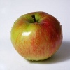 Apple Jar Cake
