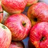 Apples