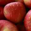 Apple and Ginger Crumble