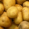 Baked Potato Casserole