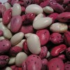 16 Bean Soup