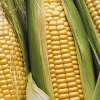 Corn Side Dish