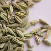 Cumin Bread