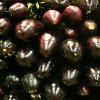 21 Tempting Eggplant Recipes