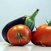 LowFat Eggplant Parmesan