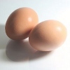 Hard Boiled Egg Casserole