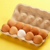 Eggs in a Carton