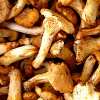 Barley and Mushroom Polish Casserole