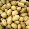 A Basic Hash Browns Recipe