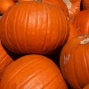 Creamy Pumpkin Polenta