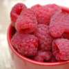 Andiamos Raspberry Chocolate MiniCakes