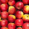 Apple Butter