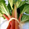 14 Phenomenal Rhubarb Recipes