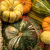 Squash