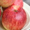 Apples