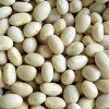 Congressional Bean Soup