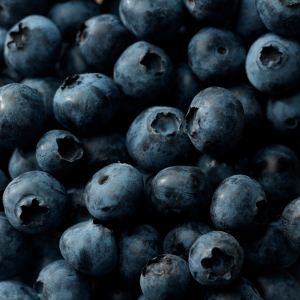 Driscoll's Blueberries