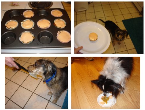 K9 Cakery Giveaway