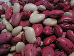 16 Bean Soup