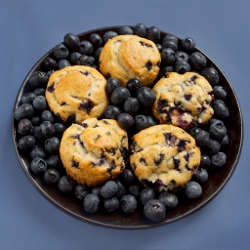 16 Delicious and Fun Blueberry Recipes 