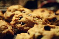 Basic Chocolate Chip Cookie