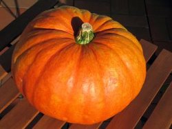 Halloween Pumpkin-Shaped Cake