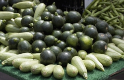 Top 7 Vegetables to Freeze and Enjoy