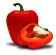 Red Pepper